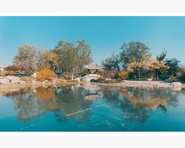 反复长痘痘，清肺热拯救肌肤，中医传统智慧照亮青春之路