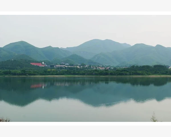 胆囊切除后吃什么好？了解中医养生之道，让你远离亚健康！