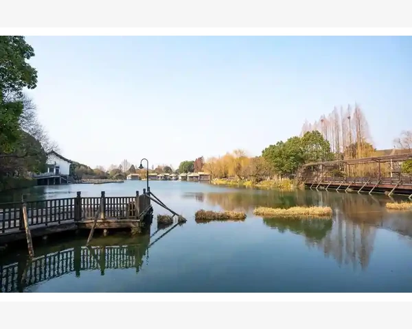 头皮针灸：唤醒健康新机遇
